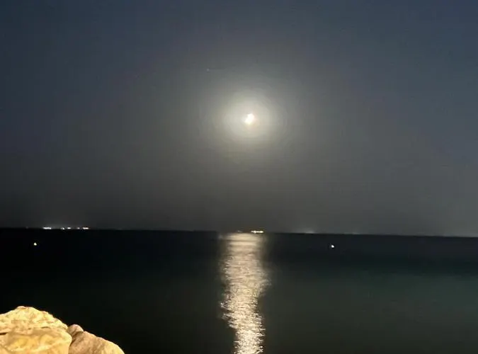 公寓 Alpha 尼基季